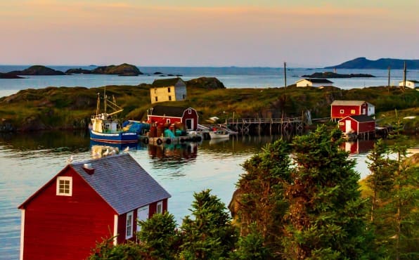 City of Newfoundland Movers