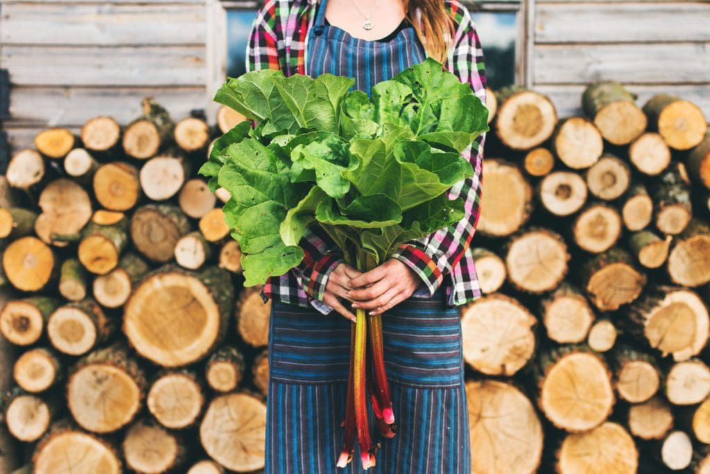 Eco-friendly ways to dispose of yard waste.
