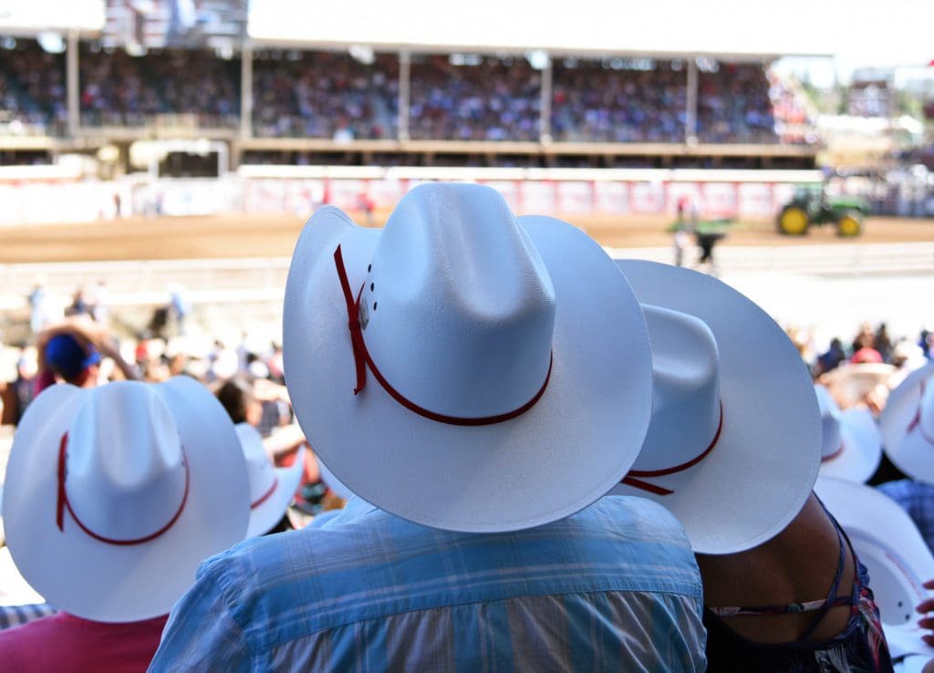 Thinking of moving to Calgary? Here’s why you’ll love living there.