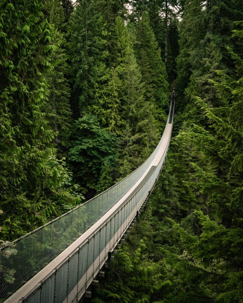 Why a move to Vancouver gives you the best of two worlds